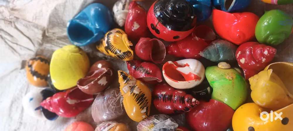 Sea shell for sale 250 /kg