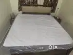 Sleepycat orthopedic Mattress
