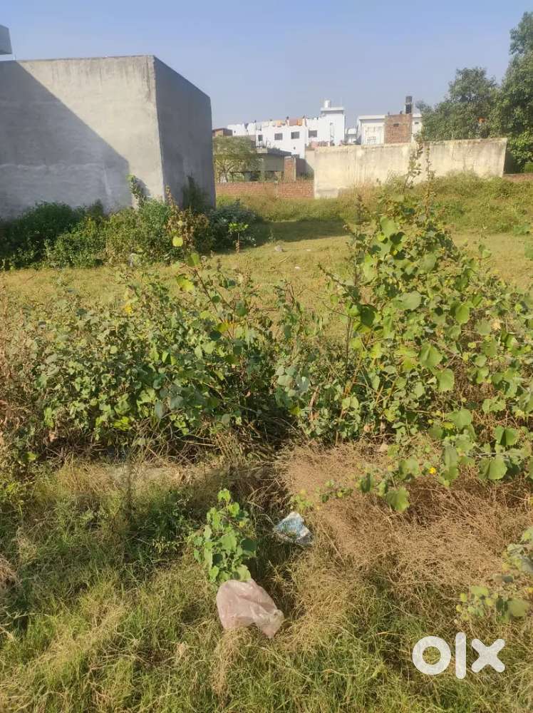 20 feet road , cleanliness, Great water supply and sewage ,