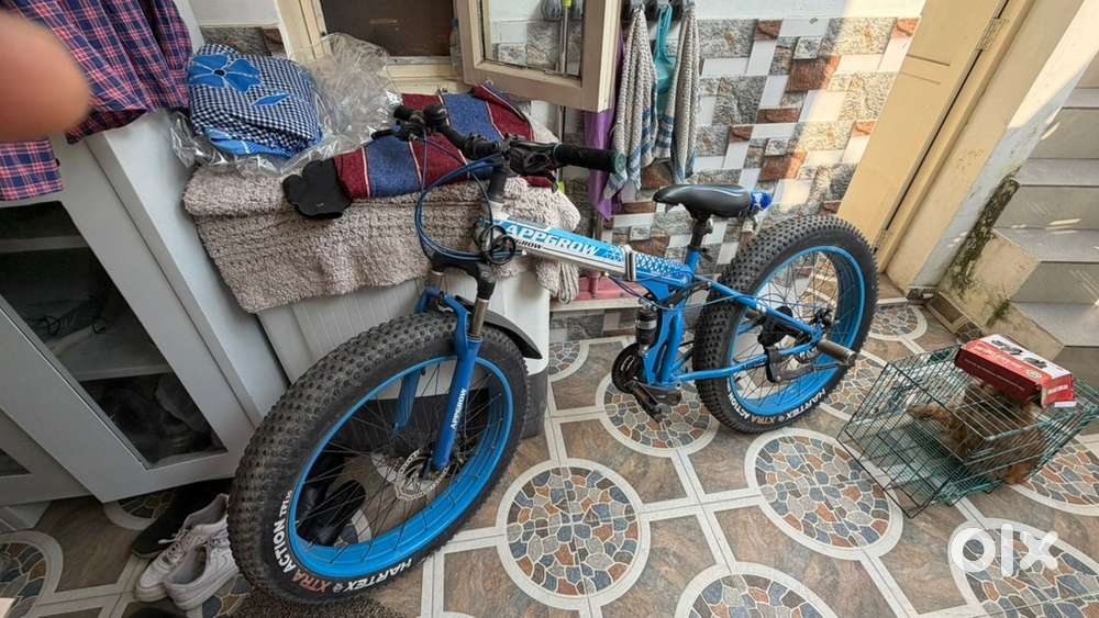 FAT BIKE CYCLE