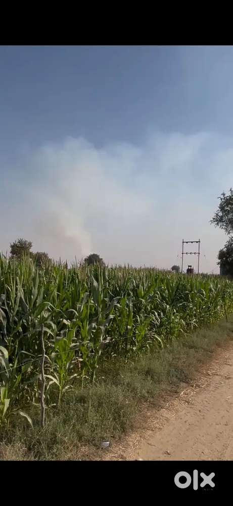 Agriculture land main highway se 800 miter andr