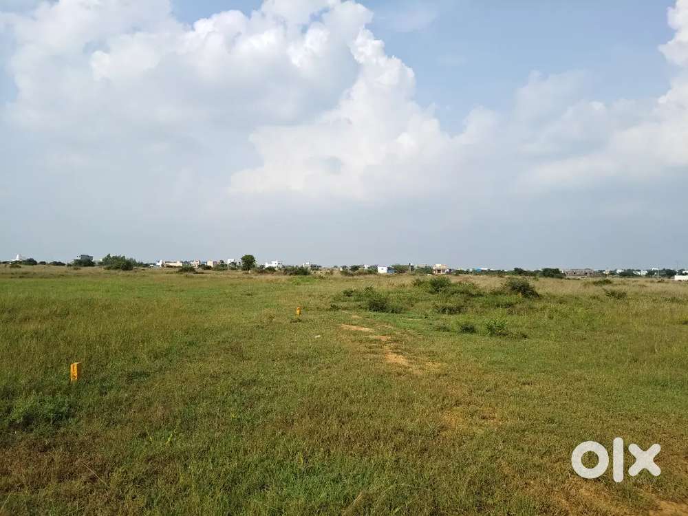 Thiruvallu caterpillar company back side land for sale.