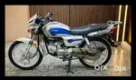 Splendor Plus here honda