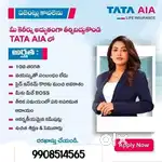 Insurance Advisor