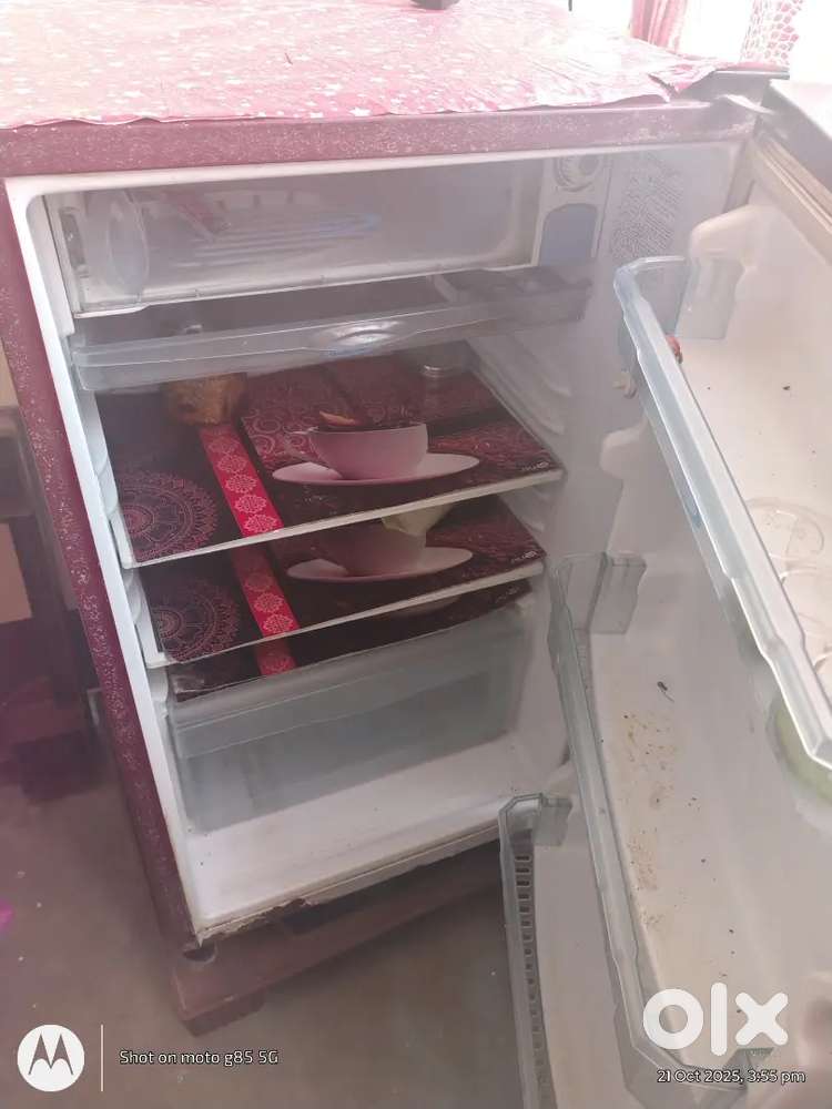5 year old kelvinator