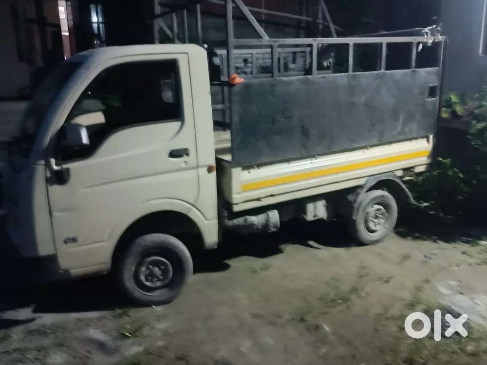 Tata ace petol