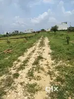 Very developedment colony good environment