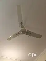 Fan pankha