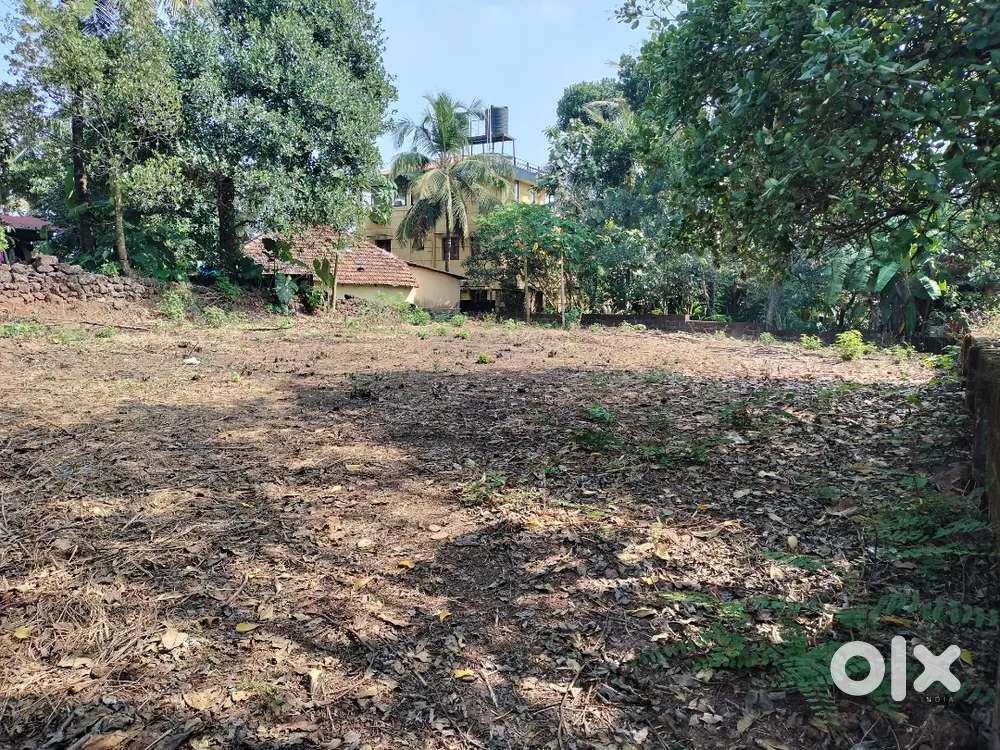 11 cents land for sale in shakthinara