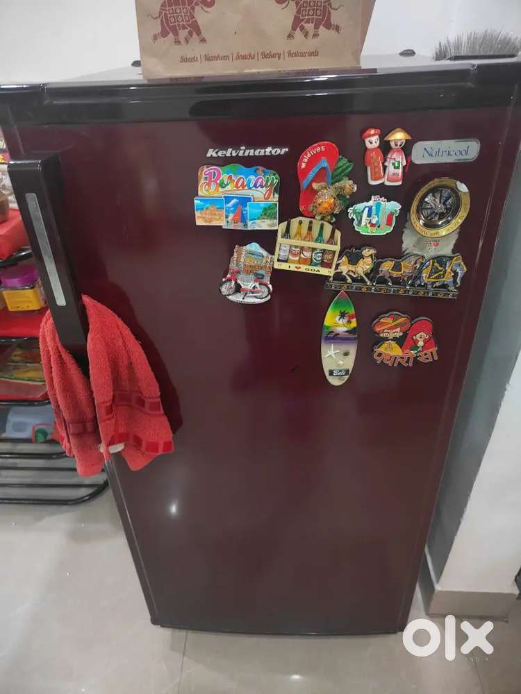 Kelvinator single door fridge