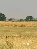 भोजपुर के आरा सदर, जमीरा में सिर्फ ₹2 लाख प्रति कट्ठा में प्लॉट बिक्री