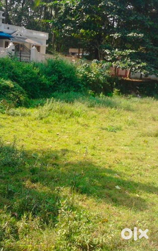 Kakkodi 9cent for sale