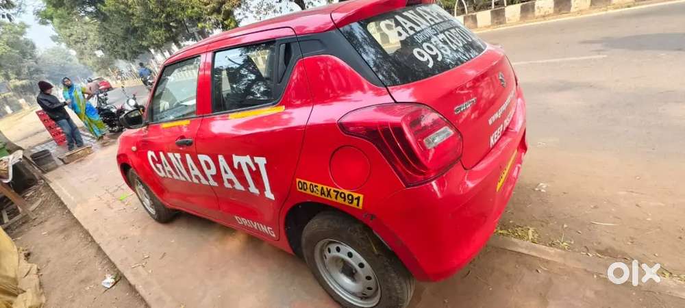 PROFESSIONAL DRIVER TRAINER