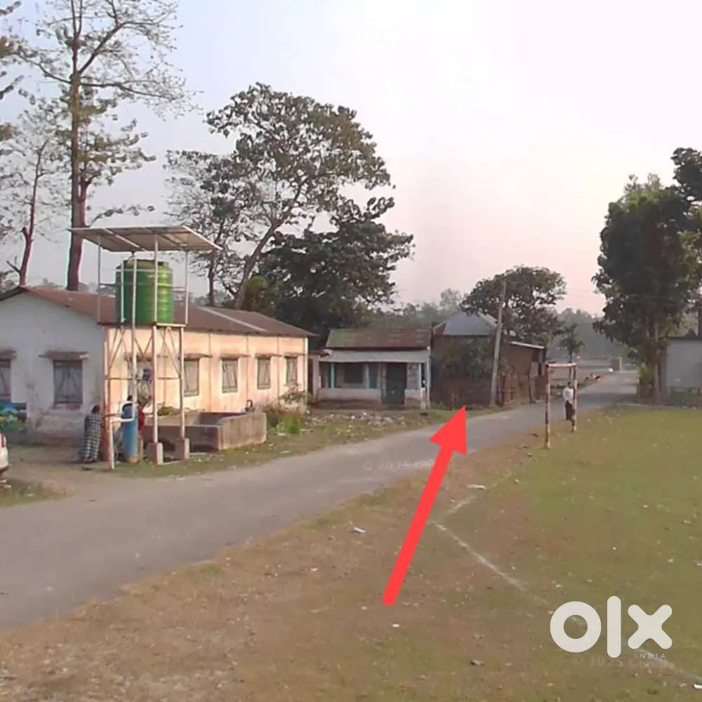 কোচবিহার শিলডাঙ্গা বেসিক জড় স্কুলের পিছনে