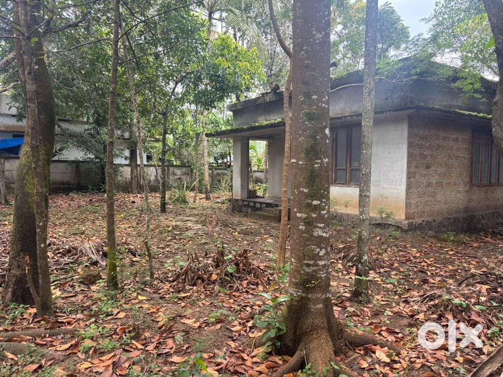 14 . 1/4 cent land and house for sale near NH 66