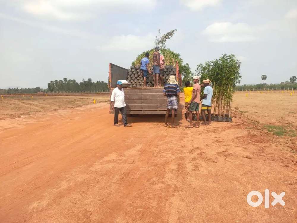 Clear title with Acre Sale Bhogapuram Khammasigadam