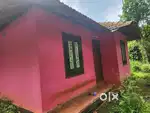 1 ACER 50 CENT LAND FOR SALE IN MANTHAVADY MYSORE ROD @WAYANAD