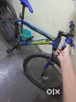 Frog cycle