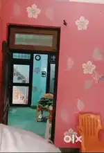 2 room and 1 kitchen 1 let bathroom modern room