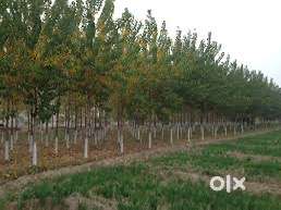 Land for sale best for invesment purpose