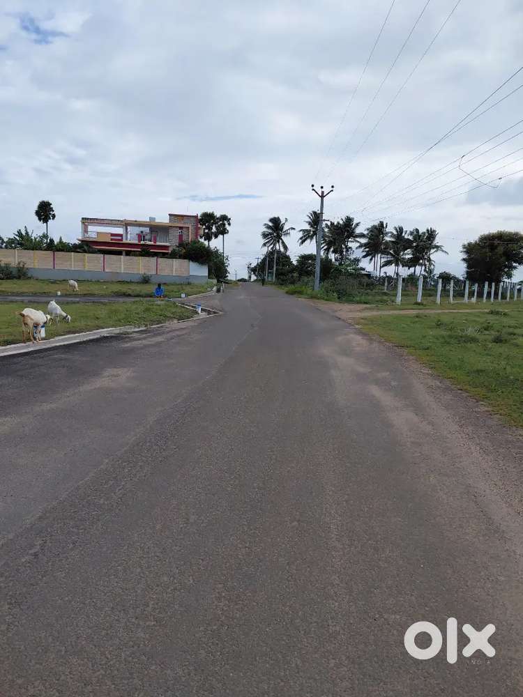 Low Budget land sale in Coimbatore Othakalmandapam