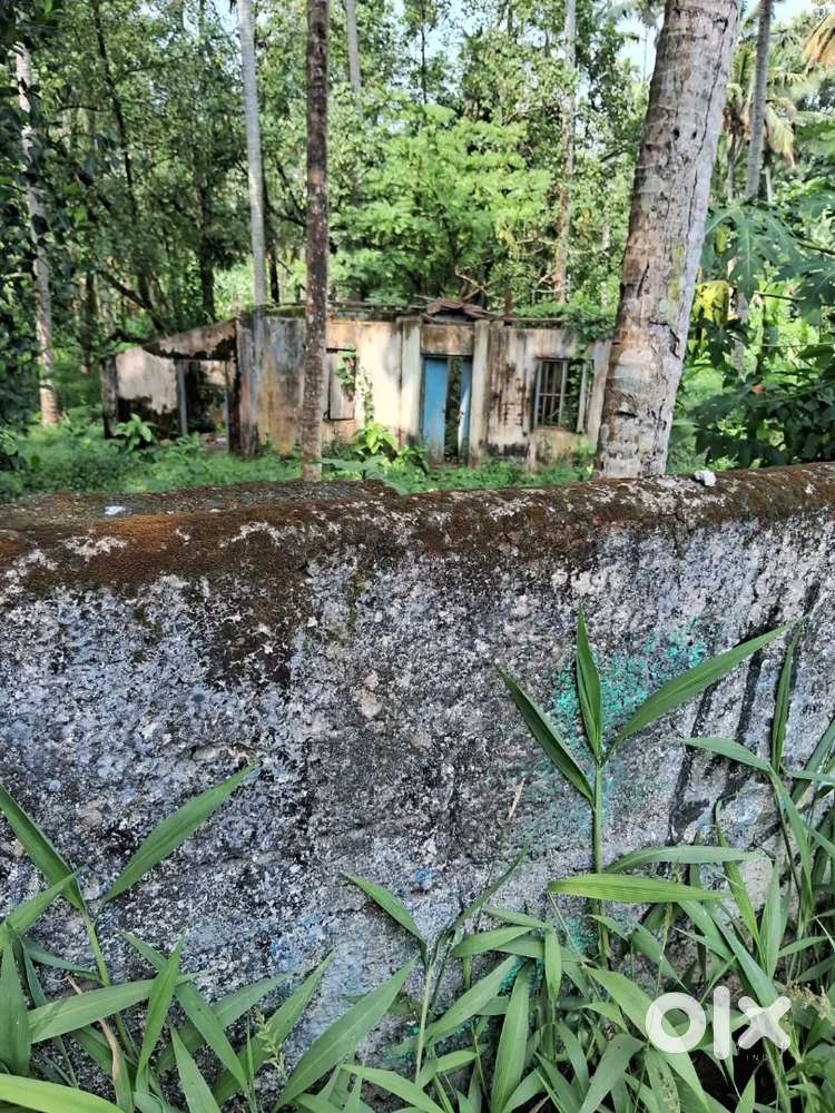 Poojappura Mudavanmugal Near ST.Marys School 76 Cent Per Cent 7. Lakhs