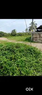 3 CENT 3 HOUSE PLOT SALE PANANGAD VYASAPURAM