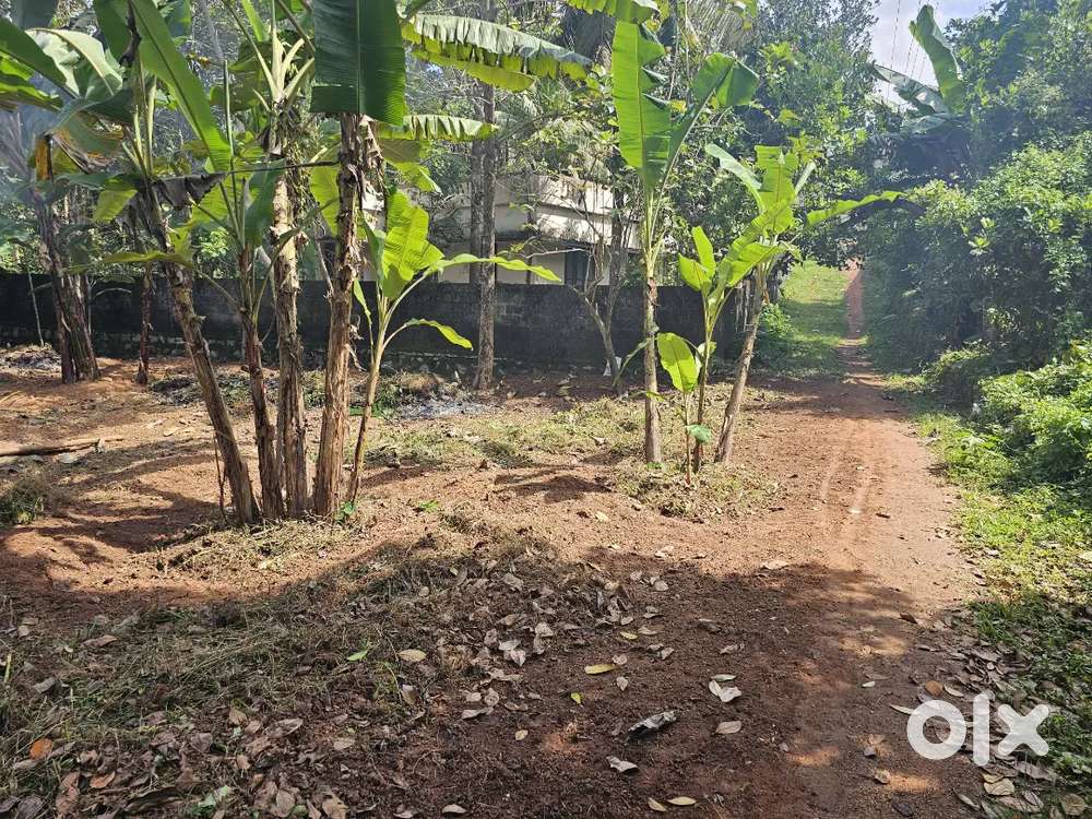 18 cent plot for sale