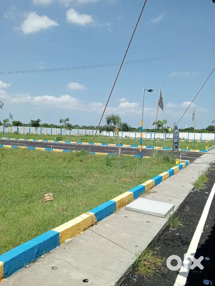 Thainigai real estate