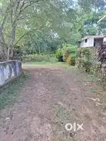 25 Cents of land for sale at Vadavukode