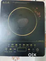 Induction stove