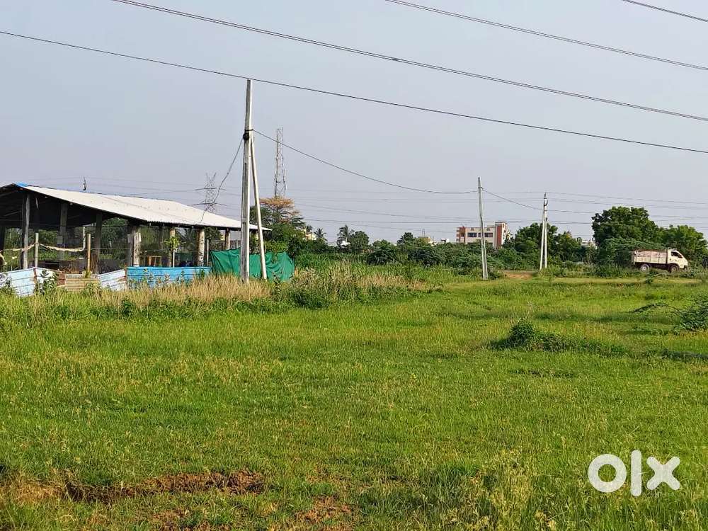 మూడు సెంట్లు