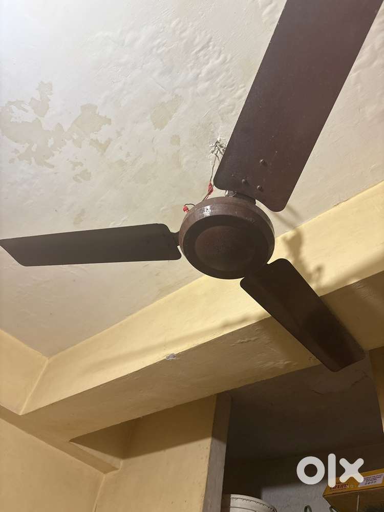 Ceiling Fan