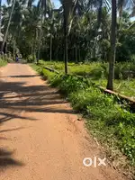 Plot for sale