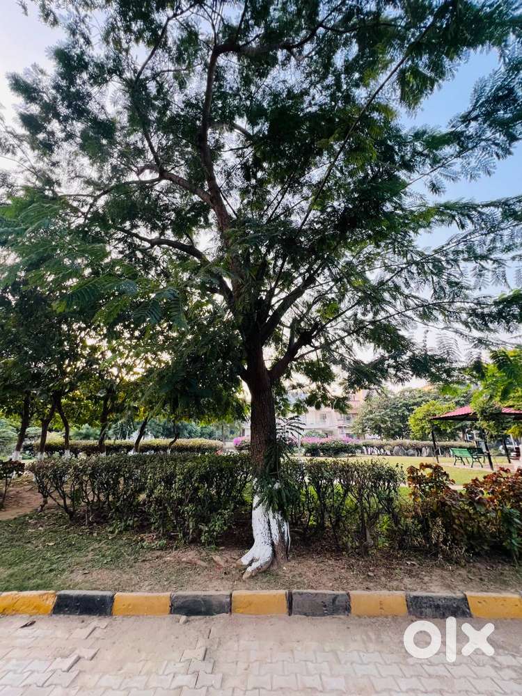 300 Gaj Park-Facing Plot for Sale in Silver City, Zirakpur – VIP Numbe