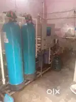 Watar plants