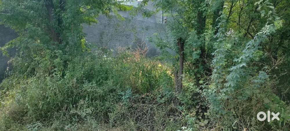 100 gaj plot selling best price near High court main road 100 mtr dur