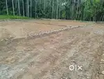 4+5+ LAND FOR SALE AT KAKKANAD EDACHIRA