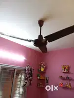 Super India Ceiling Fan