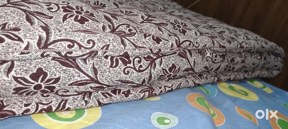 ગાડલુ-રીલાસ-રૂનુ-બોડર-વારૂ-ખોર-સાથે