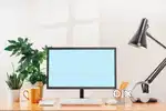 Wanted telecalling cum front office