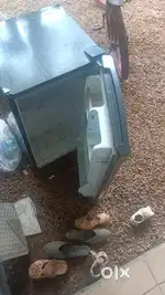 ഫ്രിഡ്ജ് electrolux