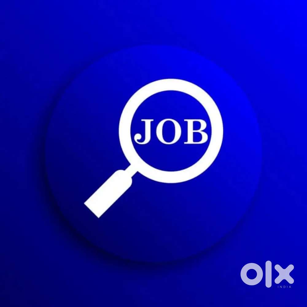 WANTED FRESHERS AND 10TH DIPLOMO  IT ALL CANDIDATES