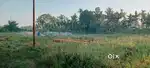 Home land for sale Namsai,Bogamur(pahar gaon)