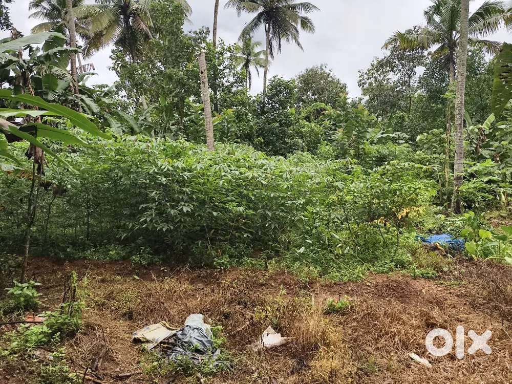 Housing plot 50 meter square plot from NH 47.