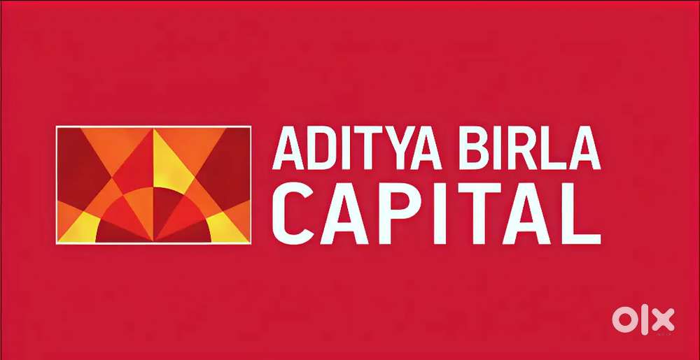 Back Office Co-ordinator of Aditya Birla Capital