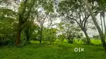 Residential Plot Sale in Champakkulam, House Plot Sale In Alappuzha