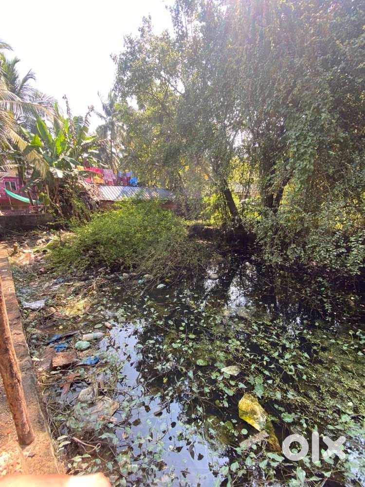 3gunta land in sankriwada  location