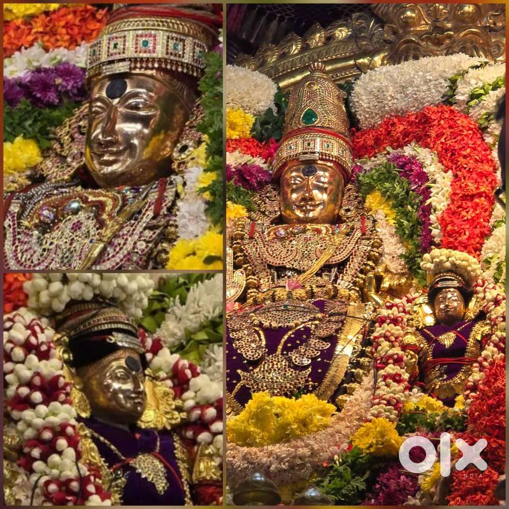 Suitable for clinic and pharmacy