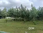DTCP Approved plots for sale in coimbatore